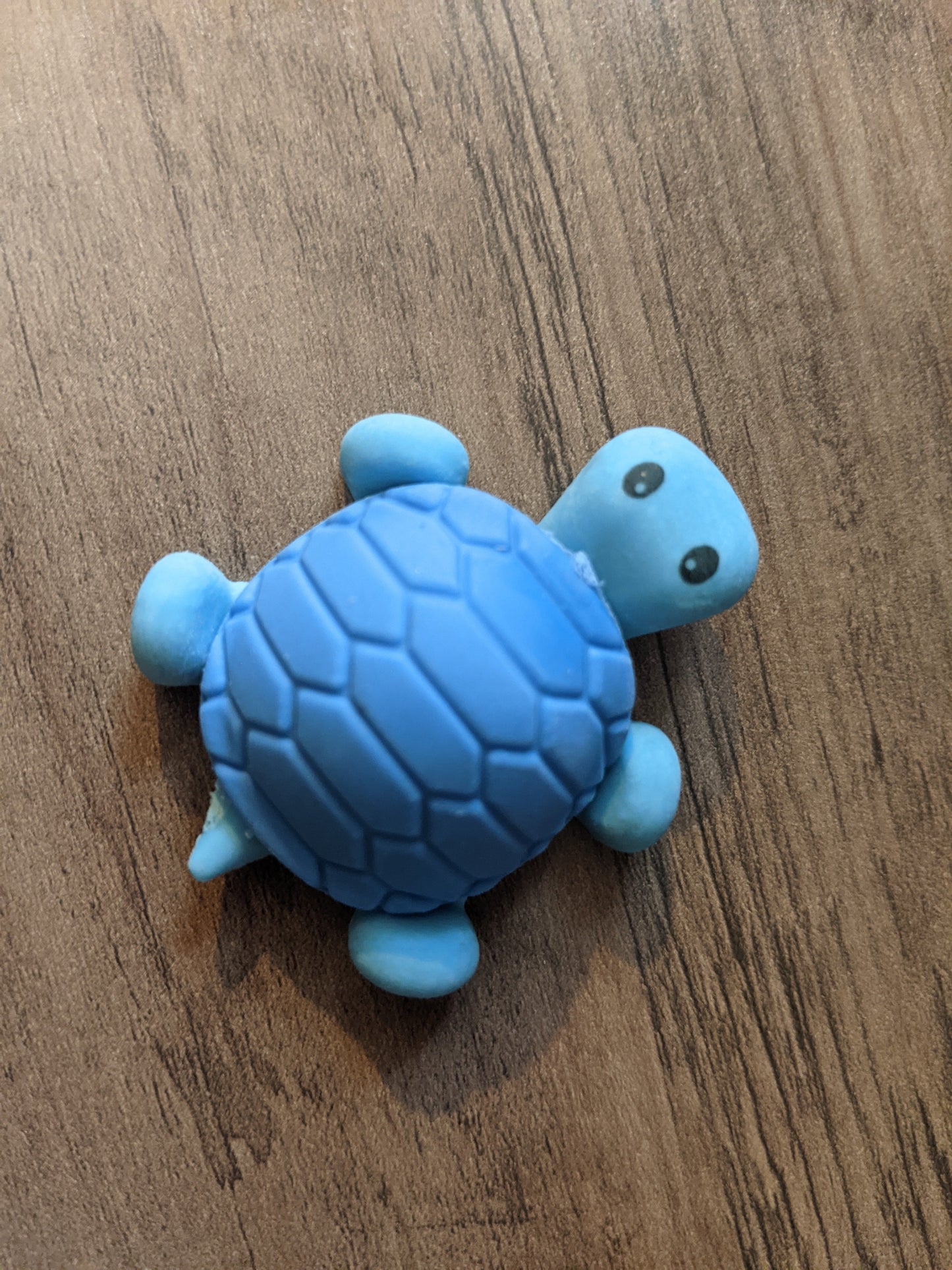 Eraser - Turtle - Matching Body
