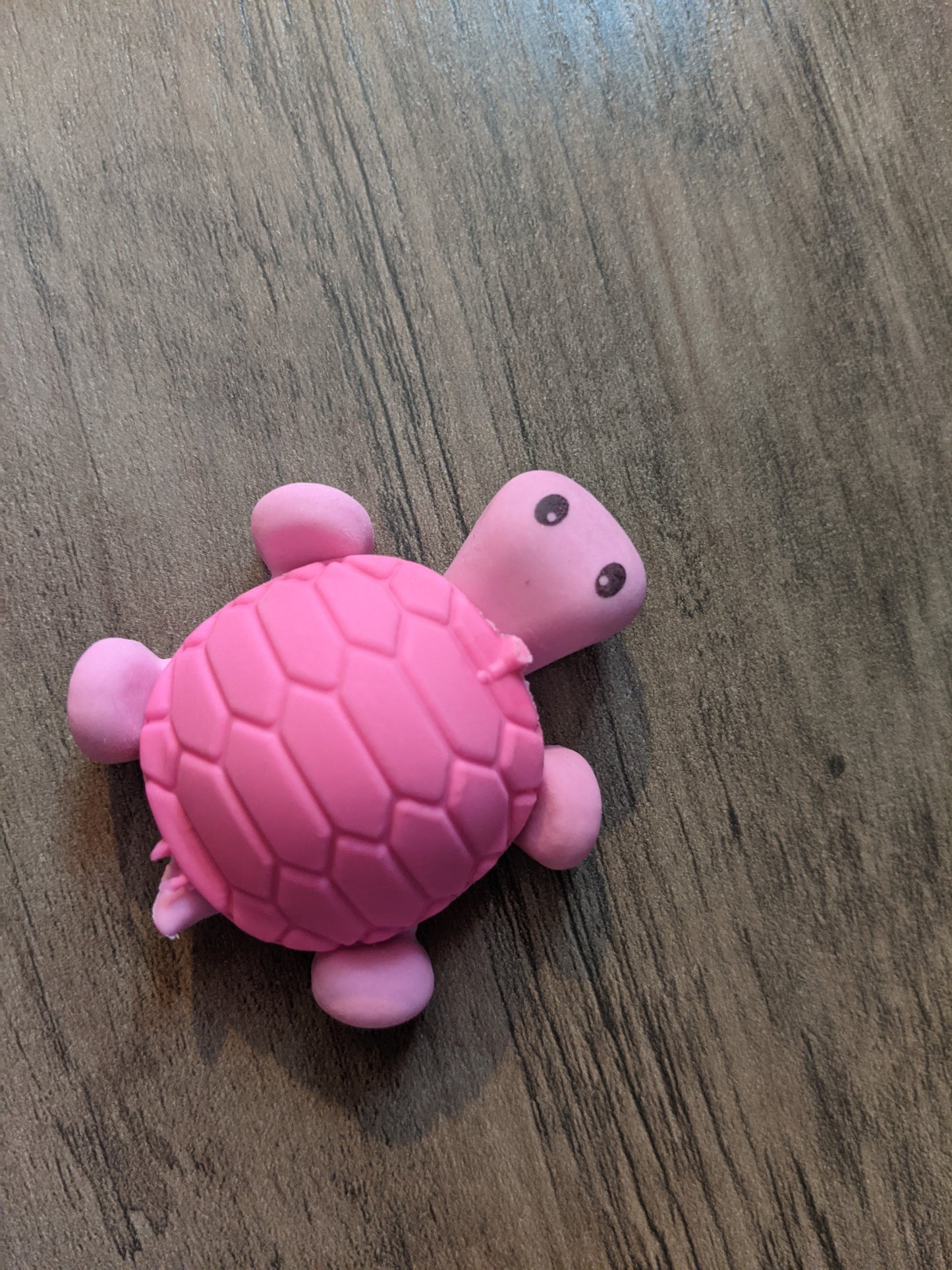Eraser - Turtle - Matching Body