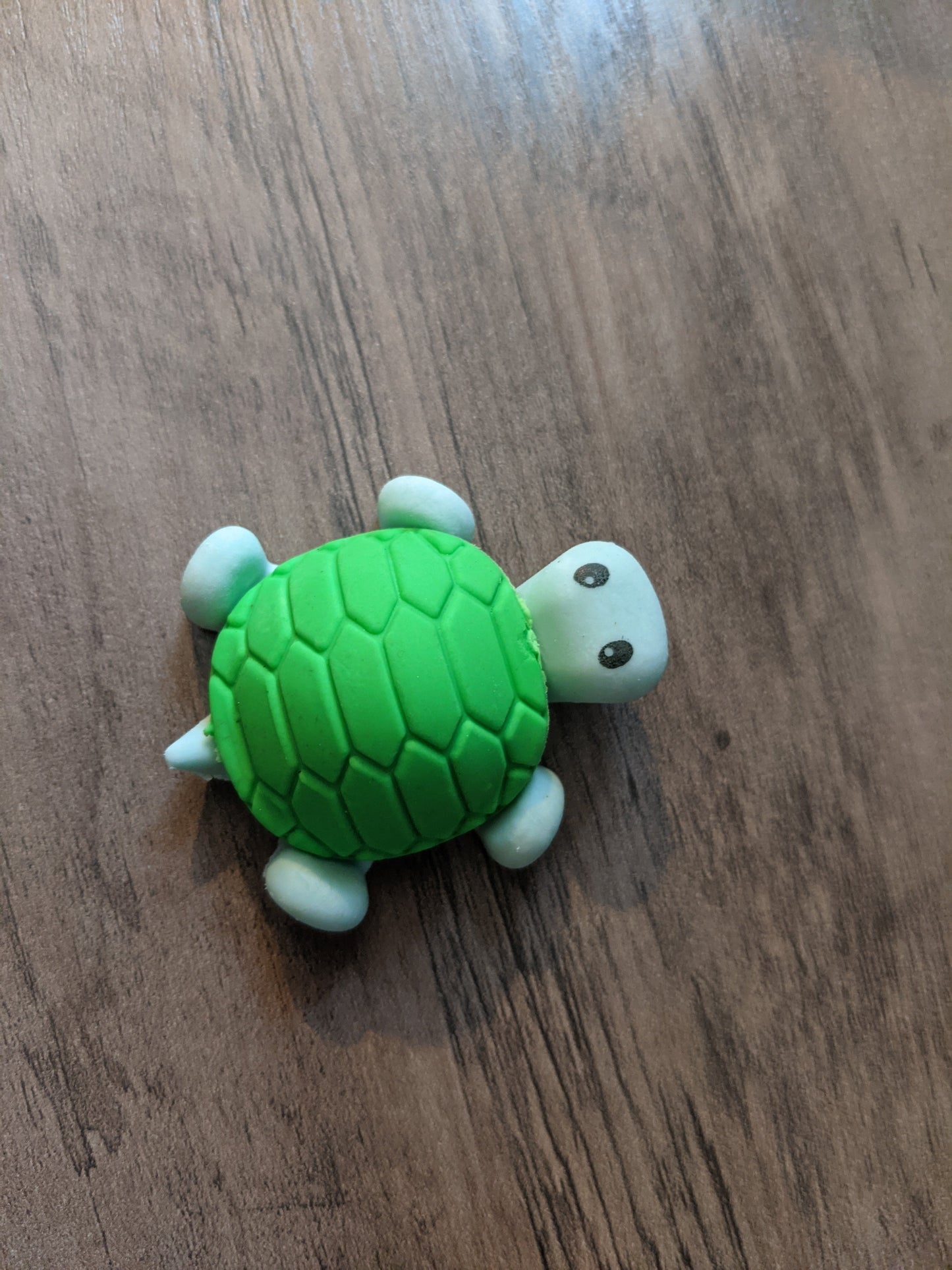 Eraser - Turtle - Matching Body