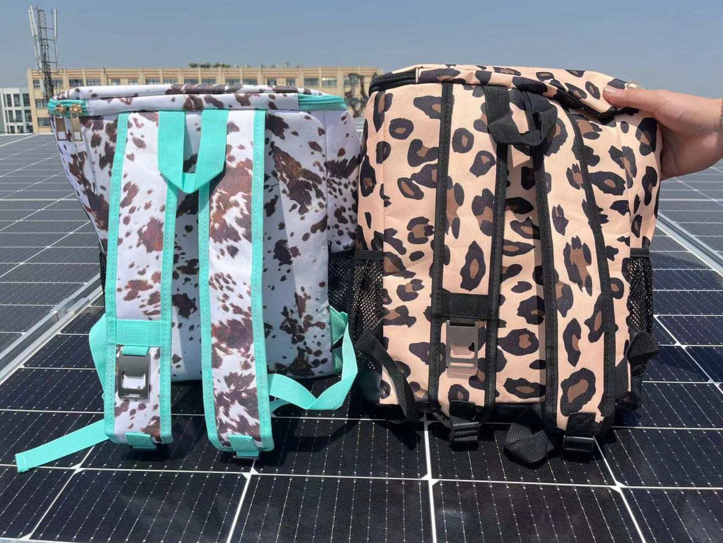 Backpack Cooler