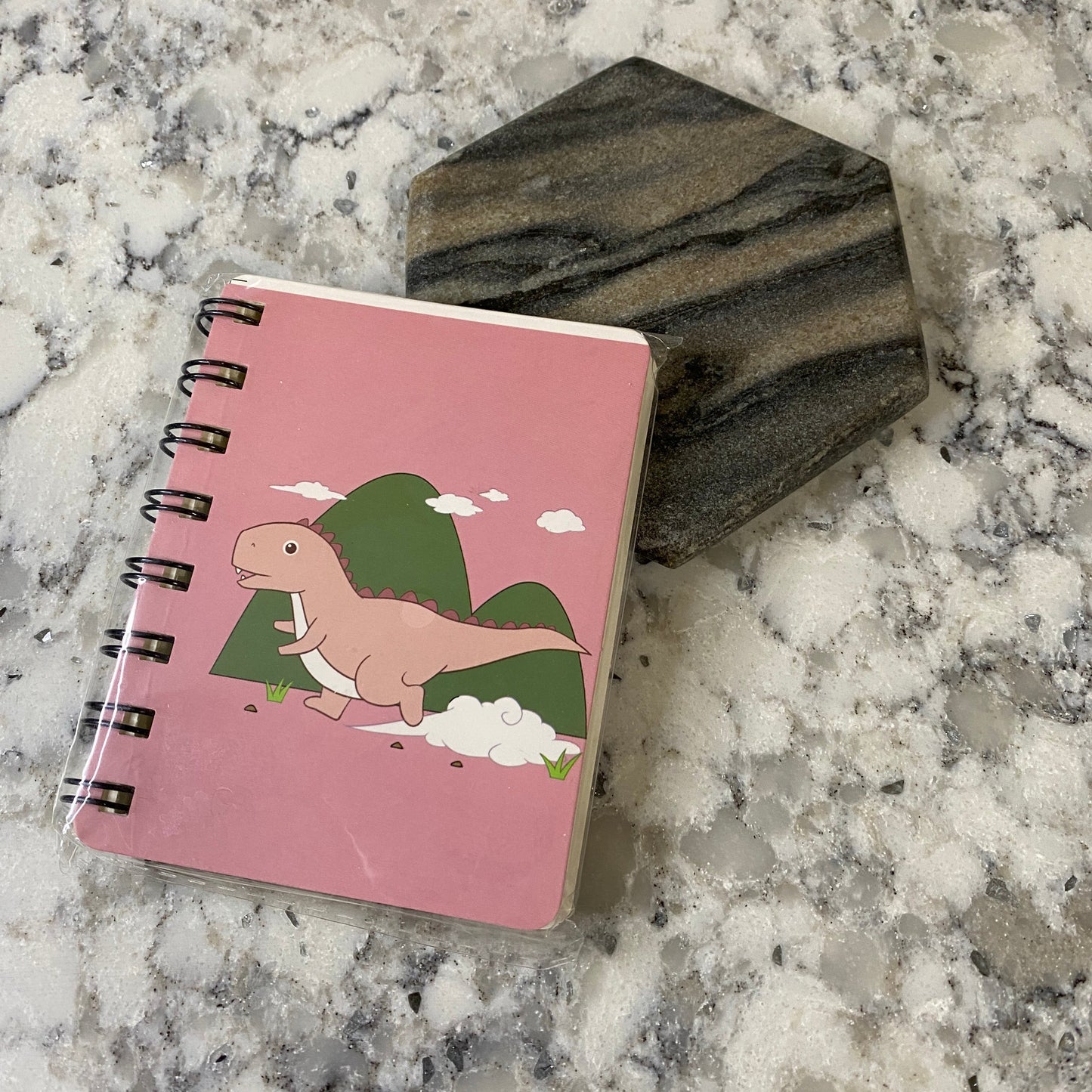Mini Notebooks - Dino